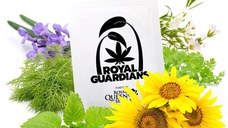 Pachet de 5 tipuri de seminte Anti-Gandaci , Royal Queen Seeds Guardians Pack , 5 pachete de seminte