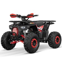 ATV electric pentru copii mari, ECO DustRider XXL 1000W 48V 20Ah cu diferential, roti 8 inch, rosu - 1