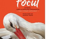 Focul