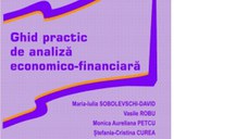 Ghid practic de analiza economico-financiara