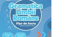 Gramatica limbii romane. Fise de lucru pentru clasa a VIII-a