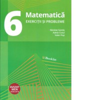 Matematica. Exercitii si probleme pentru clasa a VI-a - 1