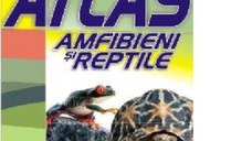 Mic atlas. Amfibieni si reptile