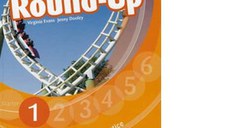 New Round-Up 1: English Grammar Practice. Student s book (with Access Code)