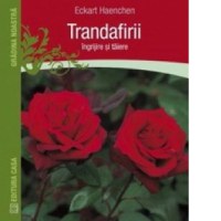 Trandafirii: ingrijire si taiere - 1