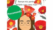 Caietul, roman mic pentru fetitele care cresc mari, Ioana Chicet-Macoveiciuc