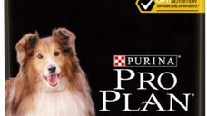 PRO PLAN Hrană uscată LIGHT pt câini Adulţi All Breed, cu Pui