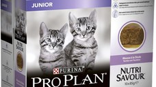 PRO PLAN JUNIOR Pachet plicuri pt pisici,Terină Curcan