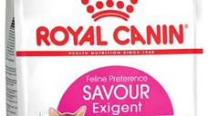 ROYAL CANIN FHN Exigent Savour