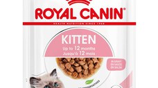 ROYAL CANIN FHN KITTEN Plic în Sos pentru pisicuţe