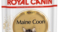 ROYAL CANIN FHN Plic pentru pisici Mainecoon 85g