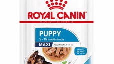 ROYAL CANIN Plic hrană umedă pentru câini Maxi Puppy140g