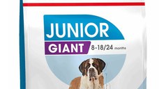 ROYAL CANIN SHN Giant JUNIOR (vârsta între 8 şi 18/24 luni)