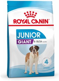 ROYAL CANIN SHN Giant JUNIOR (vârsta între 8 şi 18/24 luni) - 1