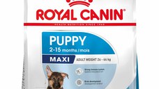 ROYAL CANIN SHN Maxi PUPPY (vârsta până la 15 luni)