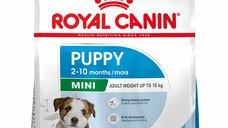 ROYAL CANIN SHN Mini PUPPY