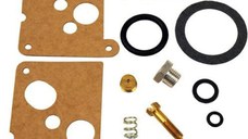 Kit Reparatie Carburator Briggs Stratton 494625 (5 CP)