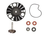 Kit reparație Pompa de apă compatibil: GILERA D.N.A, RUNNER; PIAGGIO/VESPA BEVERLY, GRANTURISMO, HEXAGON, X9 125/180/200 2000-2013 - 1