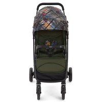 Carucior Graco Breaze Lite 2 Couture Fern - 1