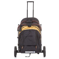 Carucior sport Chipolino Combo mango - 6