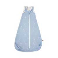 Sac de dormit Clasic Paper Planes 0-6 luni 2.5 TOG - 2