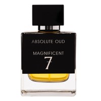 Parfum Absolute Oud Magnificent 7, Fragrance World, apa de parfum 100 ml, barbati - inspirat din M7 Oud Absolu by Yves Saint Laurent - 1