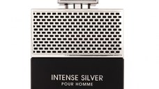 Parfum Intense Silver Pour Homme, Fragrance World, apa de parfum 100 ml, barbati