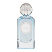 Parfum Luminous Extrait, Riiffs, apa de parfum 100 ml, barbati - 1