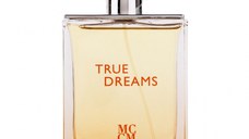 Parfum True Dreams, apa de parfum 100 ml, barbati - inspirat din Hermes Terre