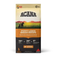 ACANA Dog Puppy Large Breed, hrană uscată fără cereale câini junior ACANA Dog Puppy Large Breed, L-XL, Pui, hrană uscată fără cereale câini junior, 11.4kg - 1