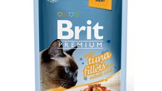 BRIT Premium, File Ton, plic hrană umedă pisici, (în sos), 85g