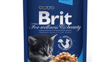 BRIT Premium Kitten, Pui, plic hrană umedă pisici junior, (în sos), 100g