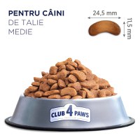 CLUB 4 PAWS Premium, M, Pui, hrană uscată câini, 2kg - 3