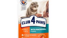 CLUB 4 PAWS Premium, Macrou, hrană umedă pisici, (în sos) CLUB 4 PAWS Premium, Macrou, plic hrană umedă pisici, (în sos), 100g