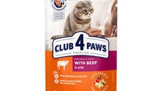 CLUB 4 PAWS Premium, Vită, hrană umedă pisici, Vită, (în aspic) CLUB 4 PAWS Premium, Vită, plic hrană umedă pisici, (în aspic), 100g