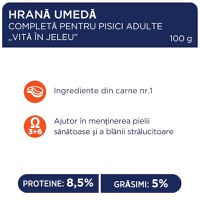 CLUB 4 PAWS Premium, Vită, hrană umedă pisici, Vită, (în aspic) CLUB 4 PAWS Premium, Vită, plic hrană umedă pisici, (în aspic), 100g - 5