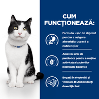 HILL'S Prescription Diet i/d Sensitive Digestive Care, Pui, dietă veterinară pisici, hrană uscată, sensibilități digestive HILL'S Prescription Diet i/d Sensitive Digestive Care, Pui, dietă veterinară pisici, hrană uscată, sistem digestiv, 3kg - 8