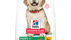 HILL'S Science Plan Puppy L, Pui, hrană uscată câini junior Hill's SP Canine Puppy Large Breed Pui, 2.5 Kg