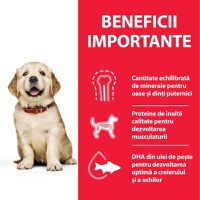 HILL'S Science Plan Puppy L, Pui, hrană uscată câini junior Hill's SP Canine Puppy Large Breed Pui, Value Pack, 16 Kg - 6