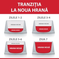 HILL'S Science Plan, Rață, hrană uscată pisici sterilizate, 300g - 3