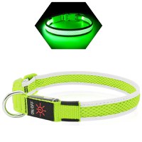 KPUPLOL Zgardă cu LED, Reîncarcabilă, Verde, L, 38 - 61 cm - 1