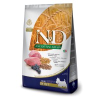 N&D Ancestral Grain Adult Mini, XS-S, Miel și afine, hrană uscată conținut redus cereale câini, 7kg - 1