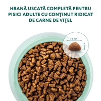 OPTIMEAL, Vită, hrană uscată pisici, 200g - 6