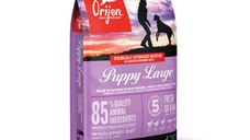 ORIJEN Puppy Large, hrană uscată fără cereale câini junior ORIJEN Puppy Large Breed, L-XL, Pui și Curcan, hrană uscată fără cereale câini junior, 11.4kg