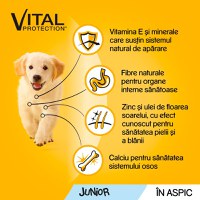 PEDIGREE Vital Protection Junior, Pui, hrană umedă câini junior, (în aspic) PEDIGREE Vital Protection Junior, Pui, plic hrană umedă câini junior, (în aspic), 100g - 8