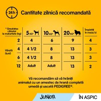 PEDIGREE Vital Protection Junior, Pui, hrană umedă câini junior, (în aspic) PEDIGREE Vital Protection Junior, Pui, plic hrană umedă câini junior, (în aspic), 100g - 2