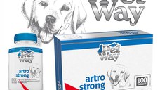 PETWAY Artro Strong, XS-XL, supliment sistem articular câini, cutie, 100 comprimate