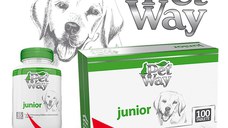 PETWAY Junior, XS-XL, supliment sistem osos câini junior, cutie, 100 comprimate