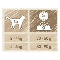 PURINA Cat Chow Adult, Somon, hrană uscată pentru pisici, 15kg - 3