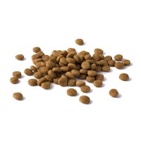 PURINA Dog Chow Adult Active, Pui, hrană uscată câini, activitate intensă, 14kg - 6